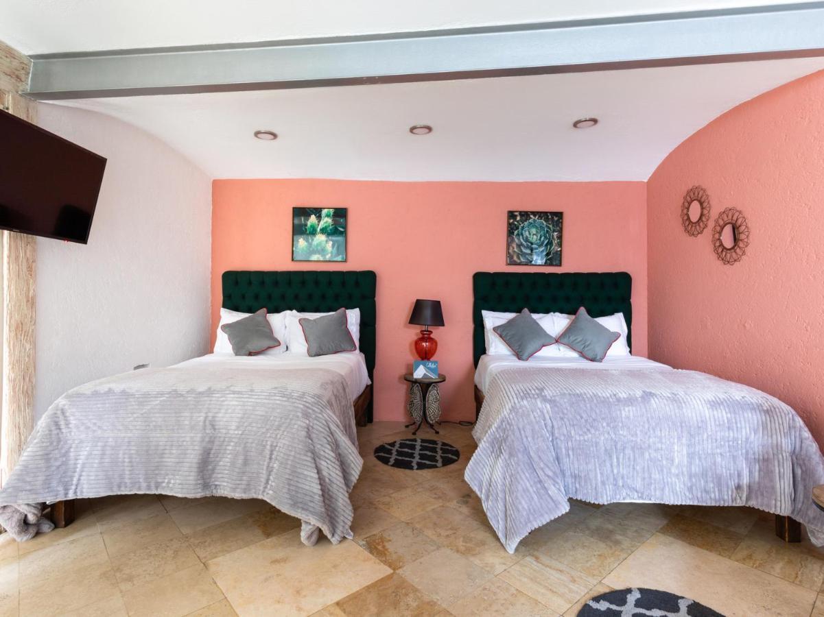 Coyota House Un Hotelito Boutique En El Centro De Coyoacan Precio Promocion 墨西哥城 外观 照片