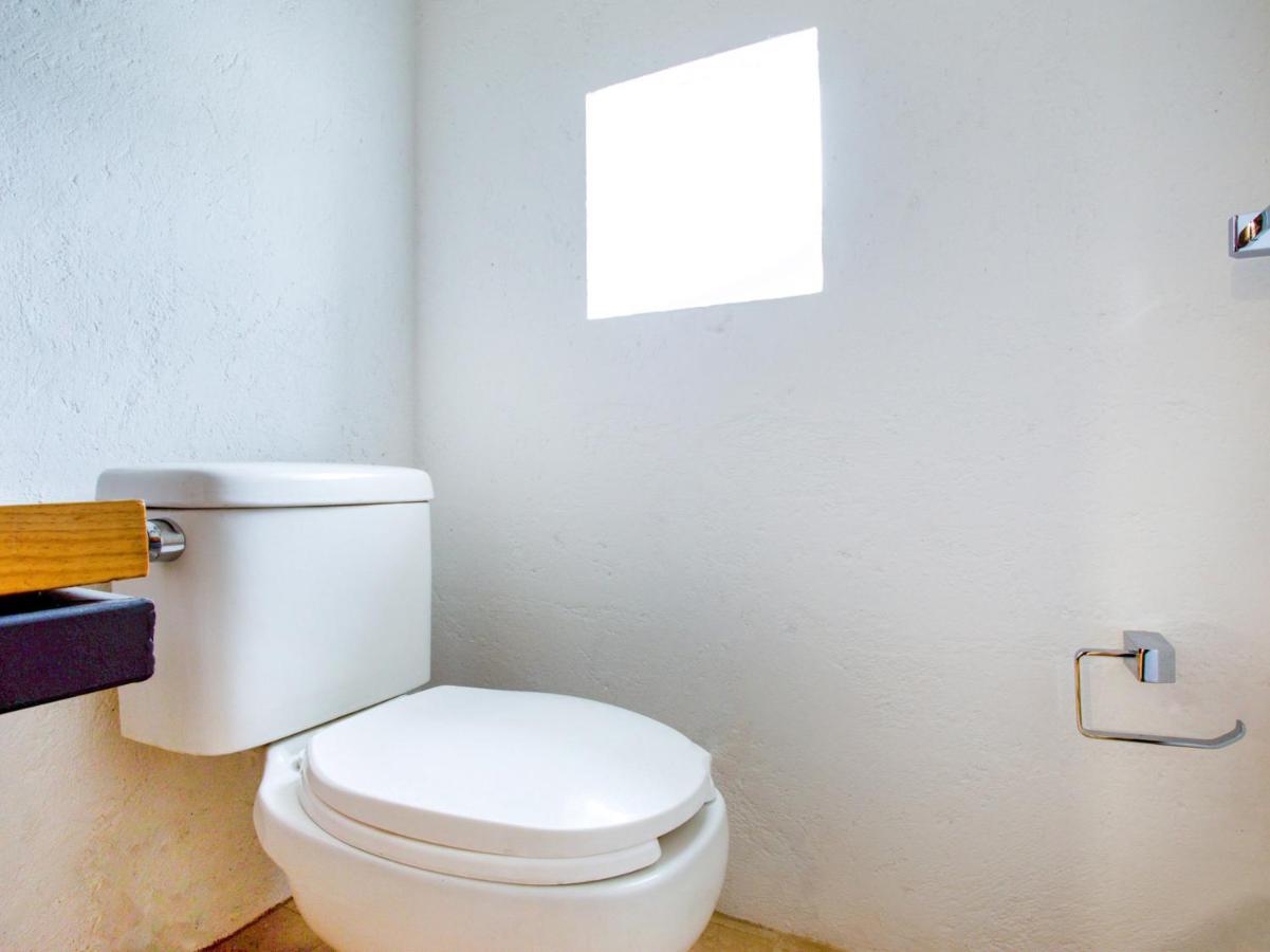Coyota House Un Hotelito Boutique En El Centro De Coyoacan Precio Promocion 墨西哥城 外观 照片